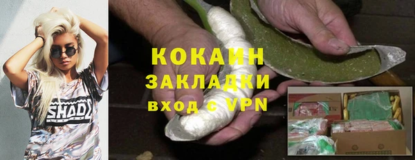 прущие грибы Новозыбков