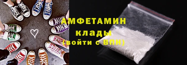прущие грибы Новозыбков