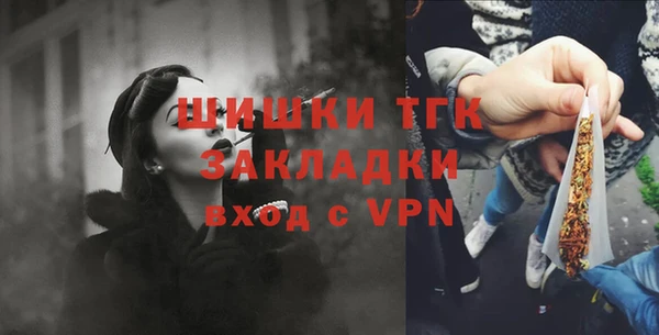 метадон Няндома