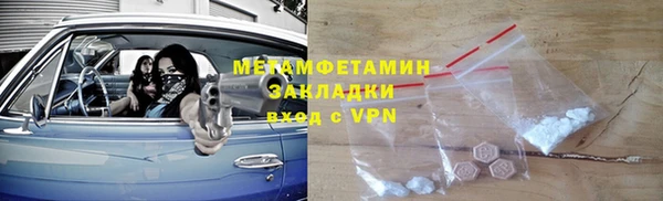 прущие грибы Нягань