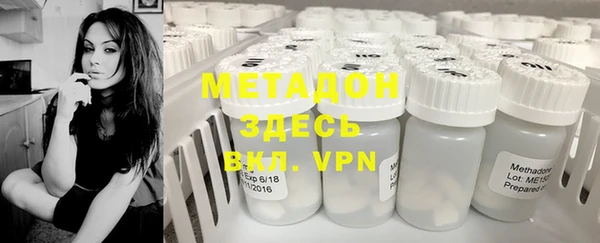 прущие грибы Нягань