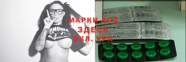 прущие грибы Новозыбков