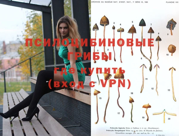 круглые Новодвинск