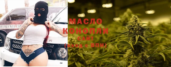 прущие грибы Новозыбков