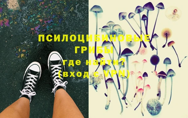 метадон Няндома